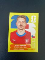 Panini FIFA World Cup Sticker CZE 9